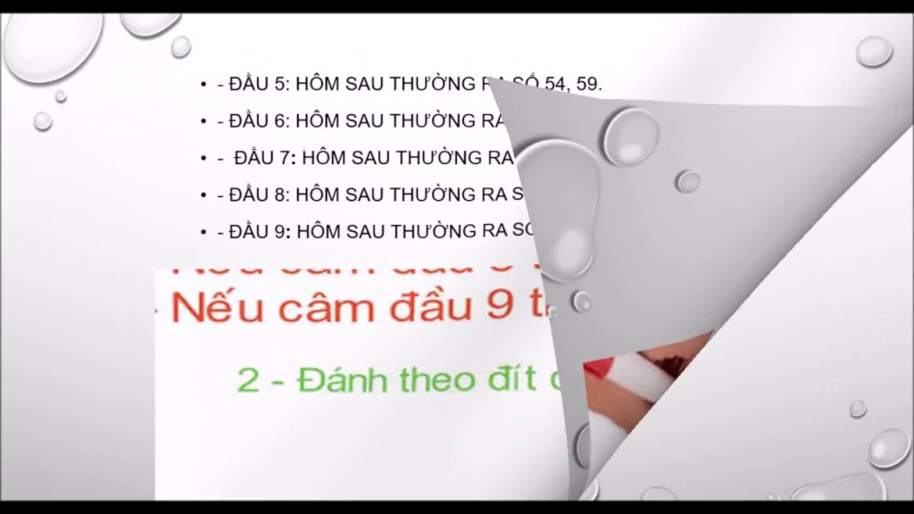 Chỉ nên nuôi lô đầu 8 câm khoảng 3 - 5 ngày nếu vẫn chưa về thì bỏ