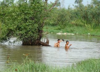 Mơ thấy tắm sông đánh con gì