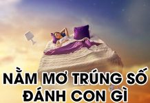 nằm mơ trúng số đánh con gì