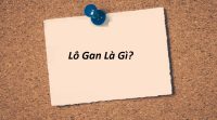 L&ocirc; gan l&agrave; g&igrave;? C&aacute;ch Nhận Biết L&ocirc; Gan? C&aacute;ch Đ&aacute;nh L&ocirc; Gan