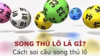 Song thủ l&ocirc; l&agrave; g&igrave;? B&iacute; k&iacute;p bắt song thủ l&ocirc; chuẩn nhất